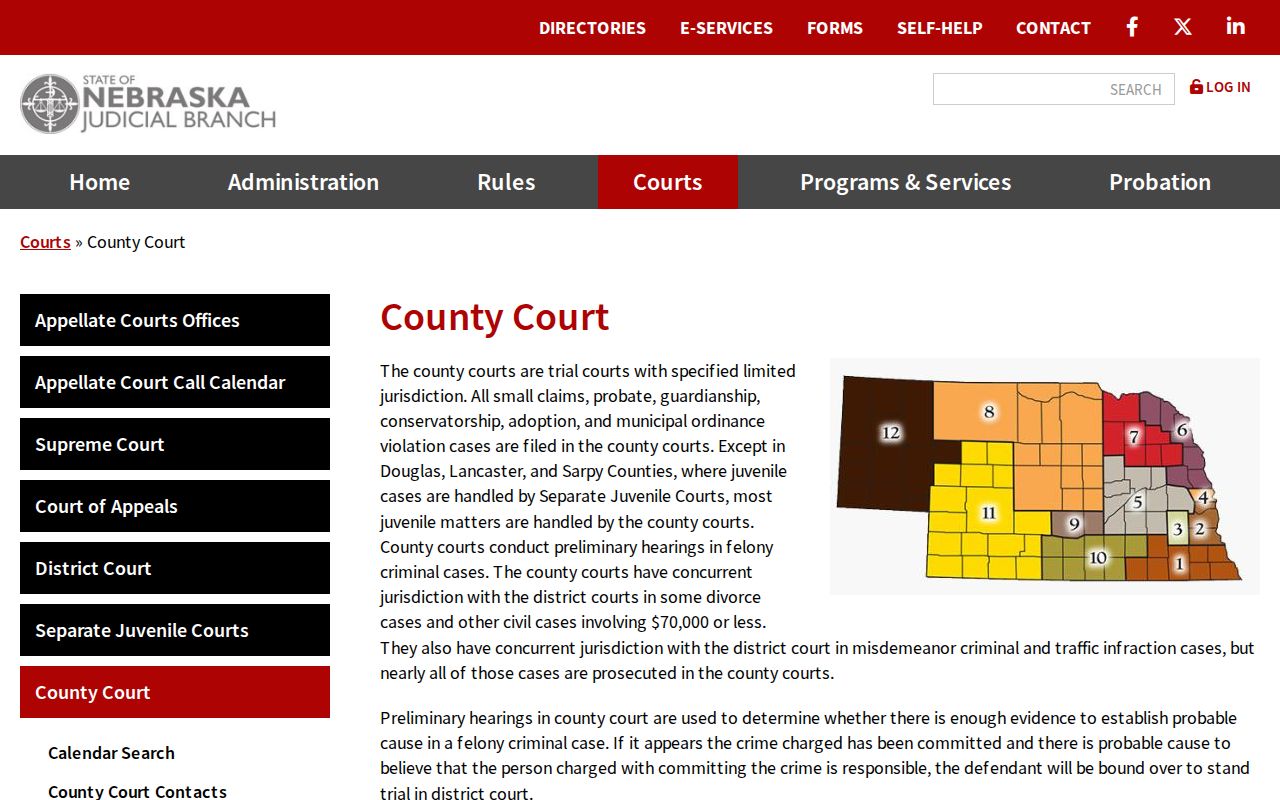 Red Willow County court docket image showing County Court jurisdiction